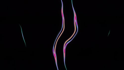 Twinkling Multicolored Neon Abstract Curved Lines