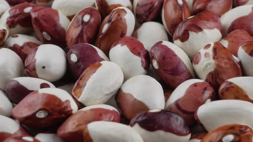 Close-up of speckled dry beans