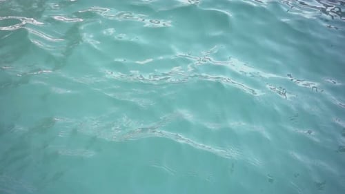 Water 11
