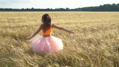 Adorable Preschooler Girl Walking Happily in Wheat Field on Warm and Sunny Summer Day