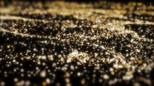 Particles Field