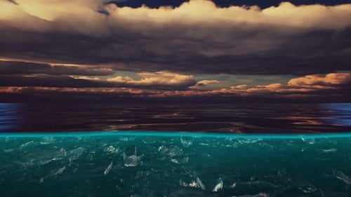 Split View Over and Under Water in the Caribbean Sea with Clouds