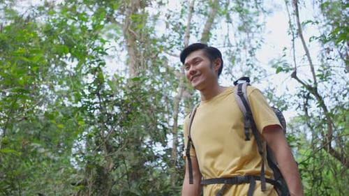 Young Asian man traveling, looking around the view then continue walk in the forest alone in summer.
