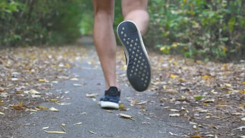 Legs of Sporty Man Running Along Trail in Early Autumn Forest