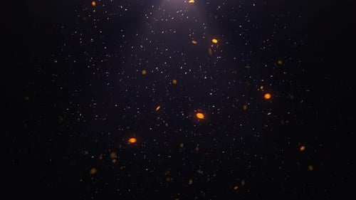Warm Glowing Abstract Particles Floating Background Loop