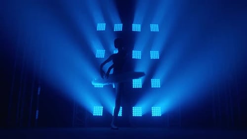 Ballet Dancer Posing Gracefully on Stage in Blue Light