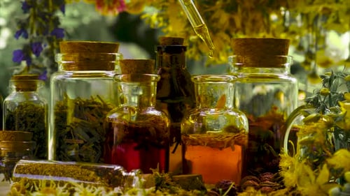 Bottles and Jars Filled with Herbal Remedies