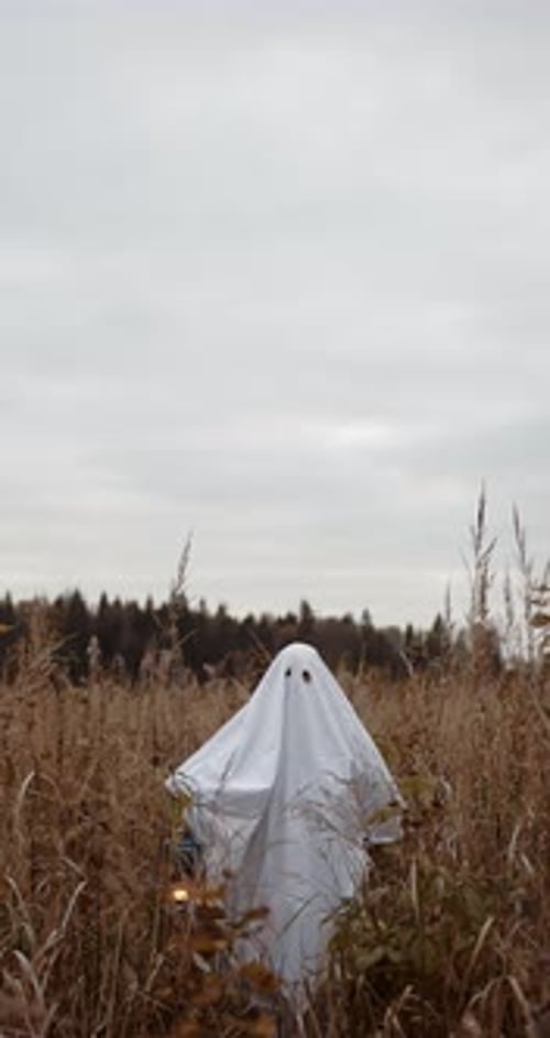 Halloween Stock Footage - Halloween stock videos
