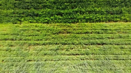 Aerial drone view of a flying over the rural agricultural landscape.
