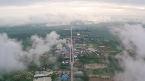 Aerial top view of forest trees with fog mist and green mountain hill