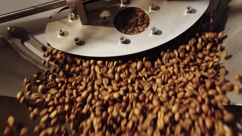Fragrant Roasted Coffee Beans are Poured Into an Industrial Mixing and Cooling Machine at Factory