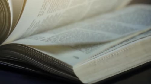 Seiten des Buches