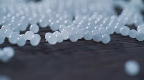 a Snail Caviar Close Up