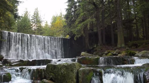 Cascade