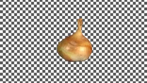 Onion Rotating With Alpha Channel