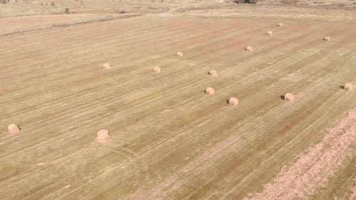 Field and haystacks.