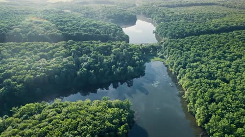 Clear Turquoise Water of Pond Surrounded By Trees and Plants