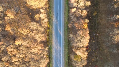Aerial View of Empty Intercity Road Between Autumn Woods at Sunset