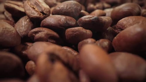 Сoffee Beans are Falling