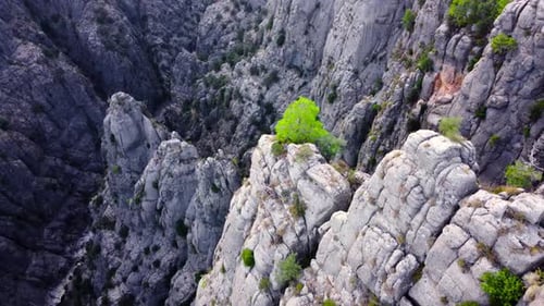 Natural Miracle Mountains Valley Landscape with Forest and Trees Epic Aerial Drone Flight Over Huge