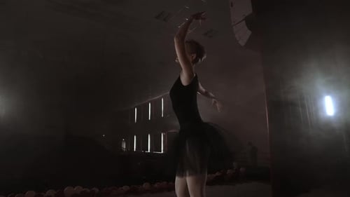 Prima Ballet Theatre on Stage Rehearsing Performance in the Smoke