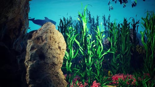 Underwater Blue Ocean 3