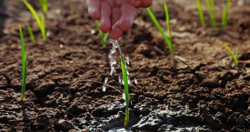 Agriculture