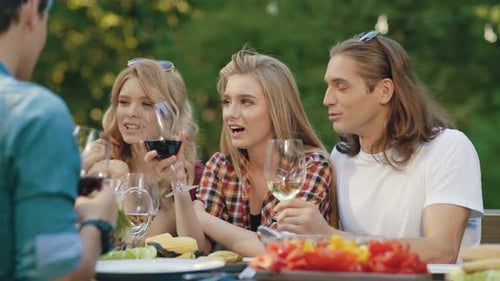 Friends Enjoy Wine at Outdoor Summer Gathering