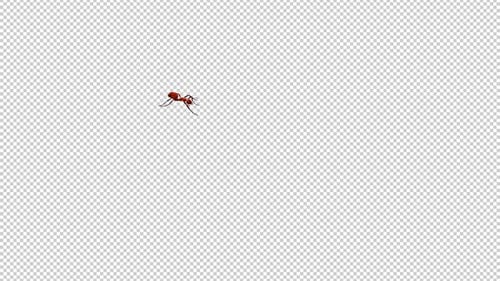 Red Ant - Abblendschutz - Seitenwinkel - MS