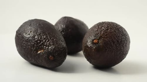 Avocado 14