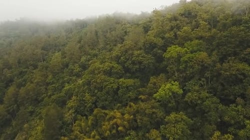 Regenwaldwolke Bali Indonesien