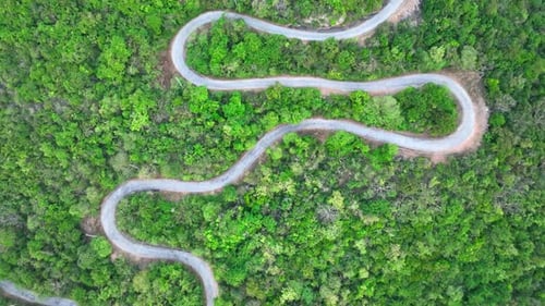 Beautiful aerial view morning forest on mountain and road with green mountains.