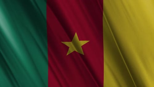 Cameroon Flag Waving Realistic Animation