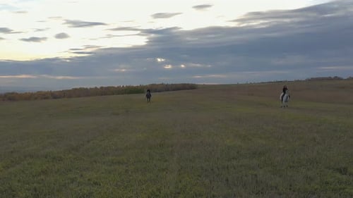 Zwei Frauen zu Pferd galoppieren über das Feld
