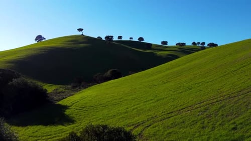 Panoramic view of mountains full of grass and few trees on the slopes.