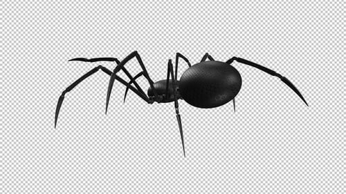 Spider Robot - Crawlingschleife - Ansicht des hinteren Winkels - Alpha-Kanal