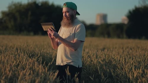 Bearded Man Using Tablet in Wheat Field