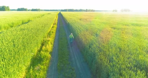 Aerial View on Young Boy, That Rides a Bicycle Thru a Wheat Grass Field on the Old Rural Road