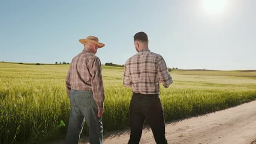 Two Farmers are Walking By the Field and Talking Emotionally