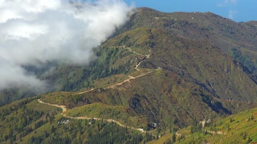 Die Straße von Wald und Gebüsch auf dem Bergrücken