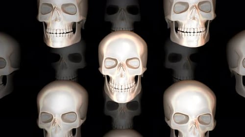 3D Skulls Looping Animation for Spooky Halloween Projects