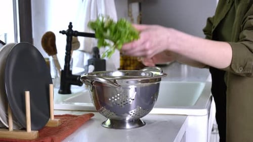 Femme lavant le céleri dans l'évier dans la cuisine