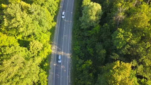 Cars Driving Through Forest, Aerial Birds-Eye View