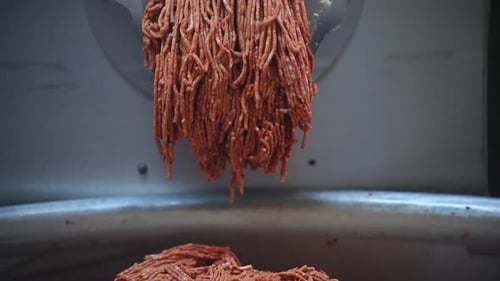 Meat Grinder Processing Raw Ground Meat