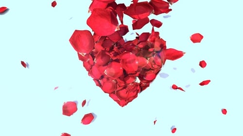 Falling Red Rose Petals Forming a Heart Shape Animation