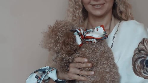 Woman Holding Cute Tan Poodle with Bow