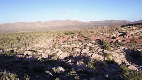 Aerial grazing horses on the desert. Wild Horses Running.