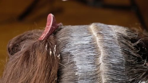 Applying Hair Dye to Grey Hair with Brush