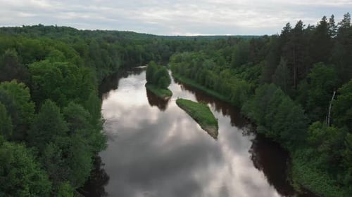 Paysage naturel - Une rivière divise la forêt de conifères en deux moitiés