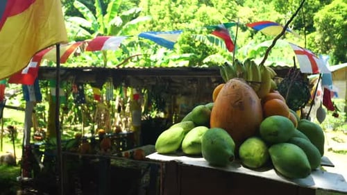Tropical Fruits for Sale